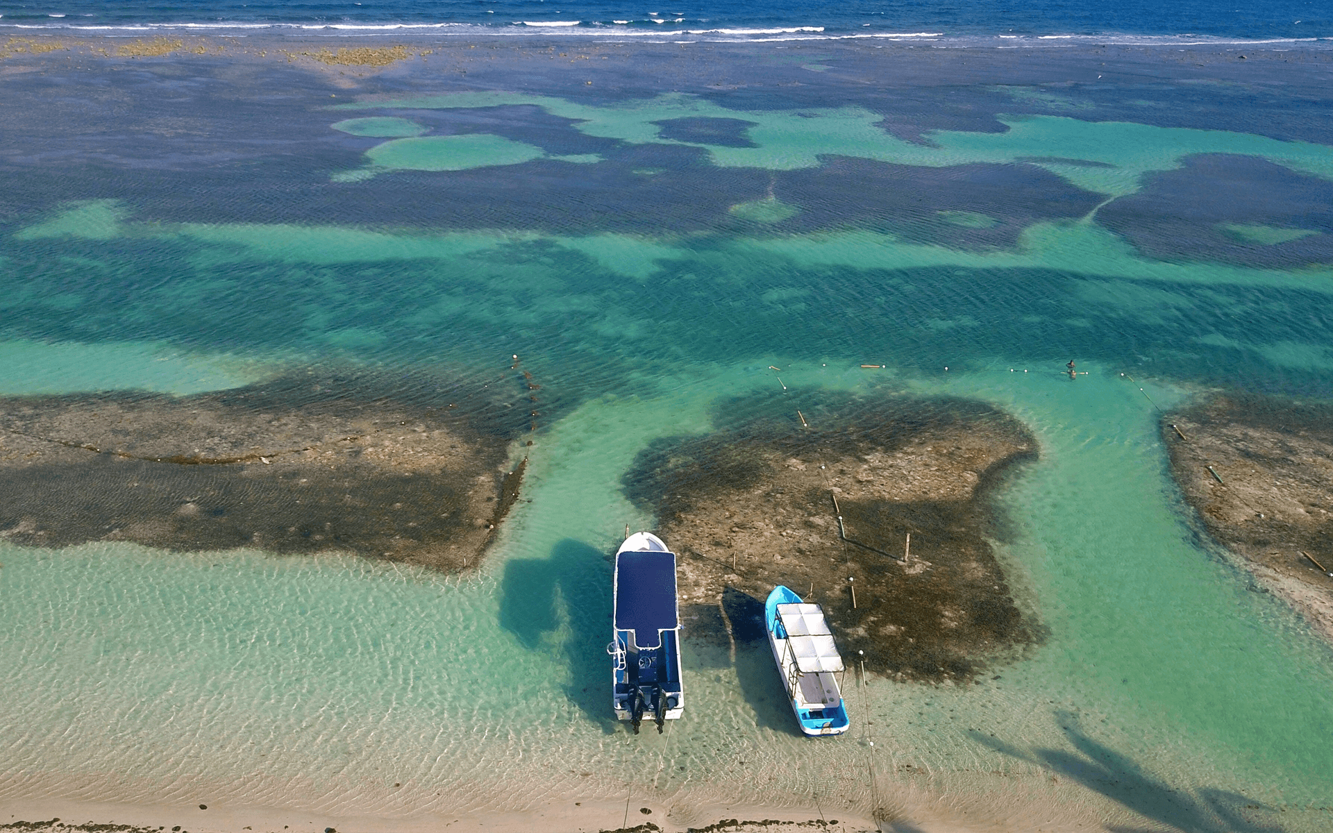 Boats anchored at Mahahual shoreline
