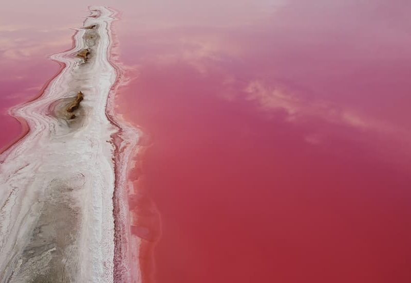 Pink Lagoon in Yucatan